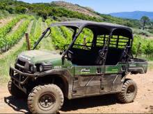 Découverte de l'exploitation en buggy Figari Corse du Sud u porcu ranger